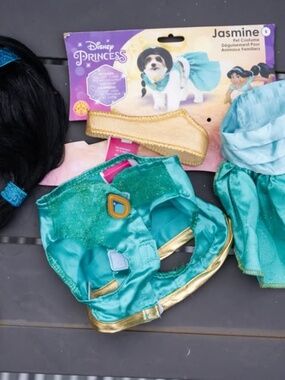 Disney Princess Jasmine Dog costume size Small